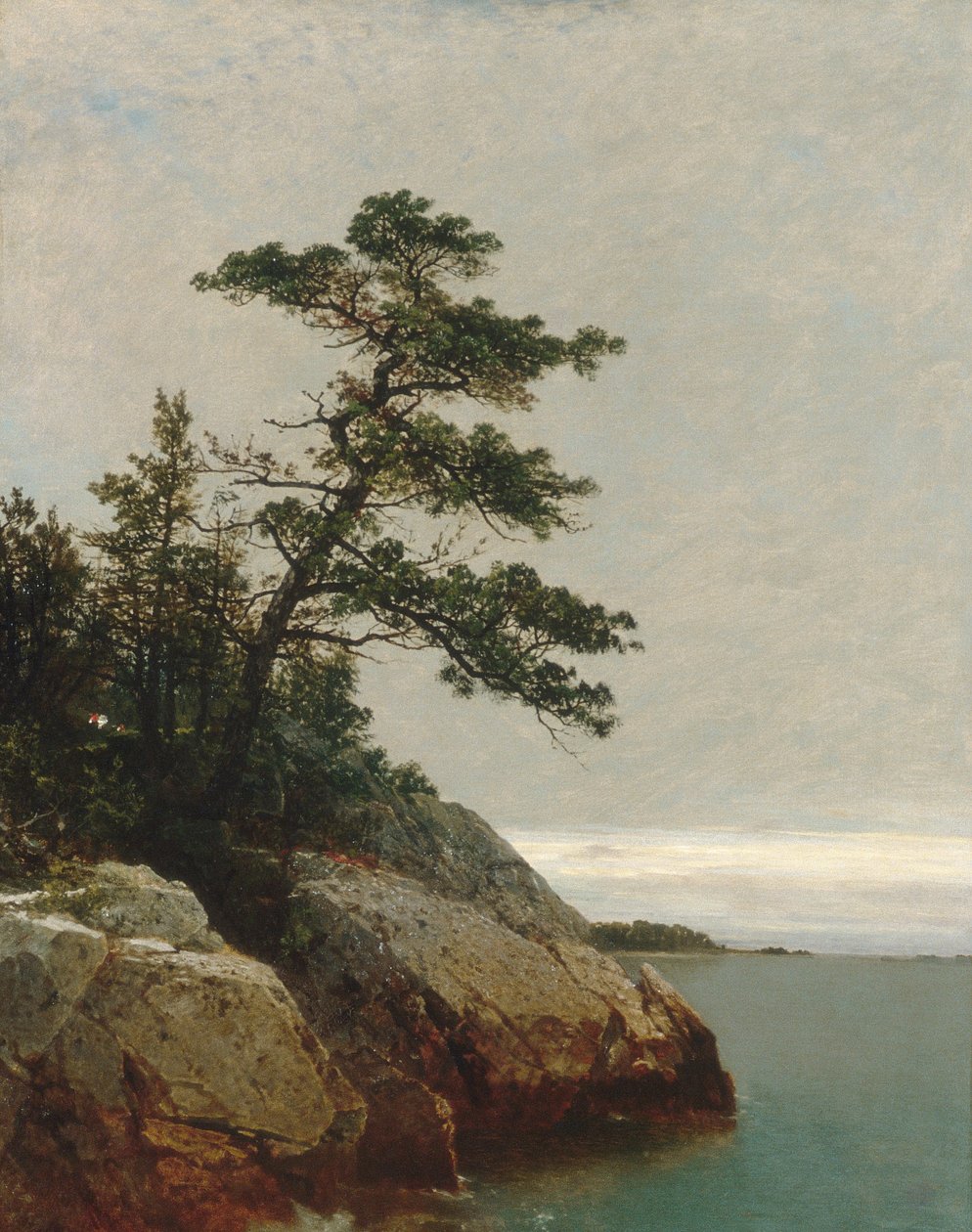 Die alte Kiefer, Darien, Connecticut von John Frederick Kensett