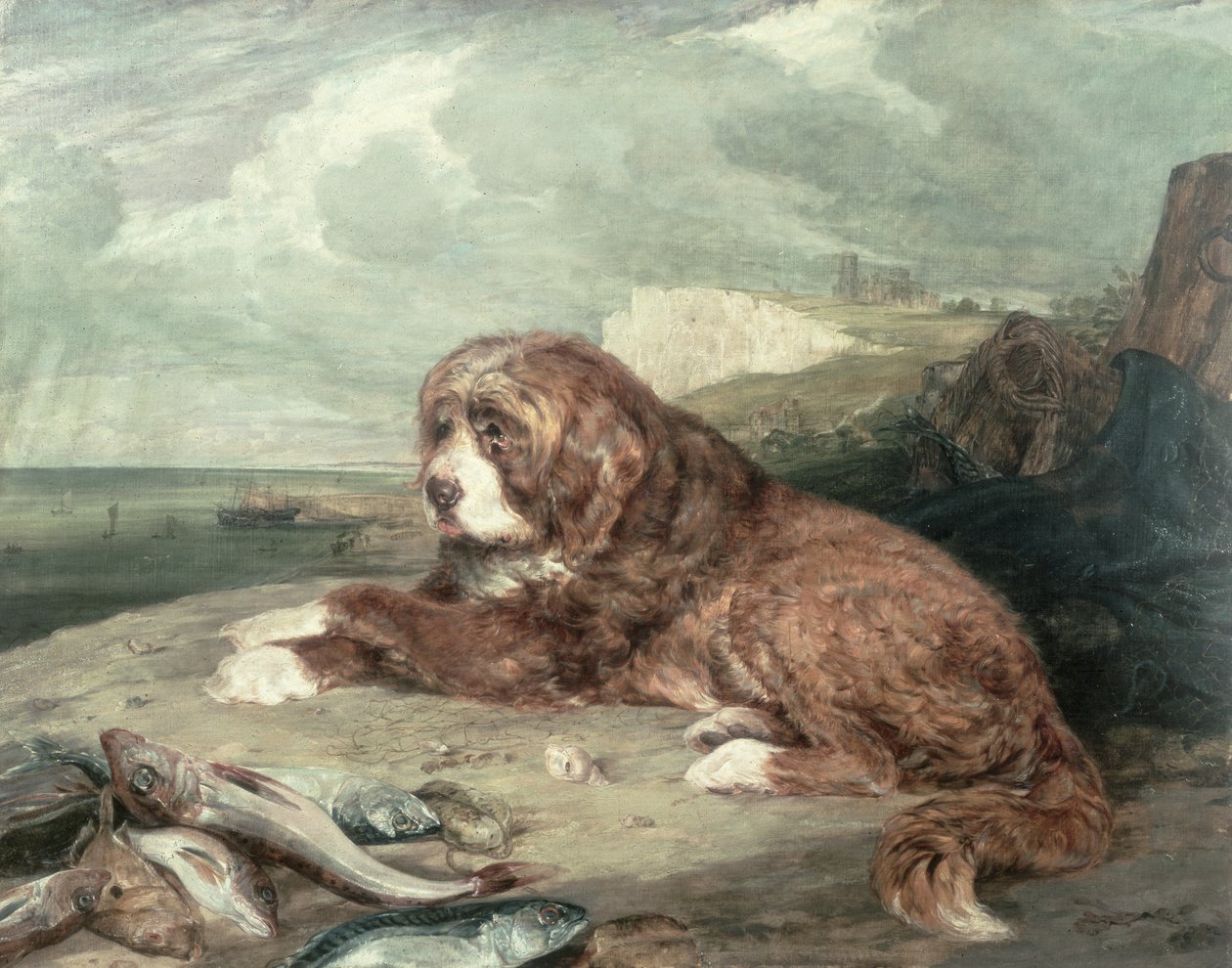 Ein alter Neufundländer Hund von John Frederick Lewis
