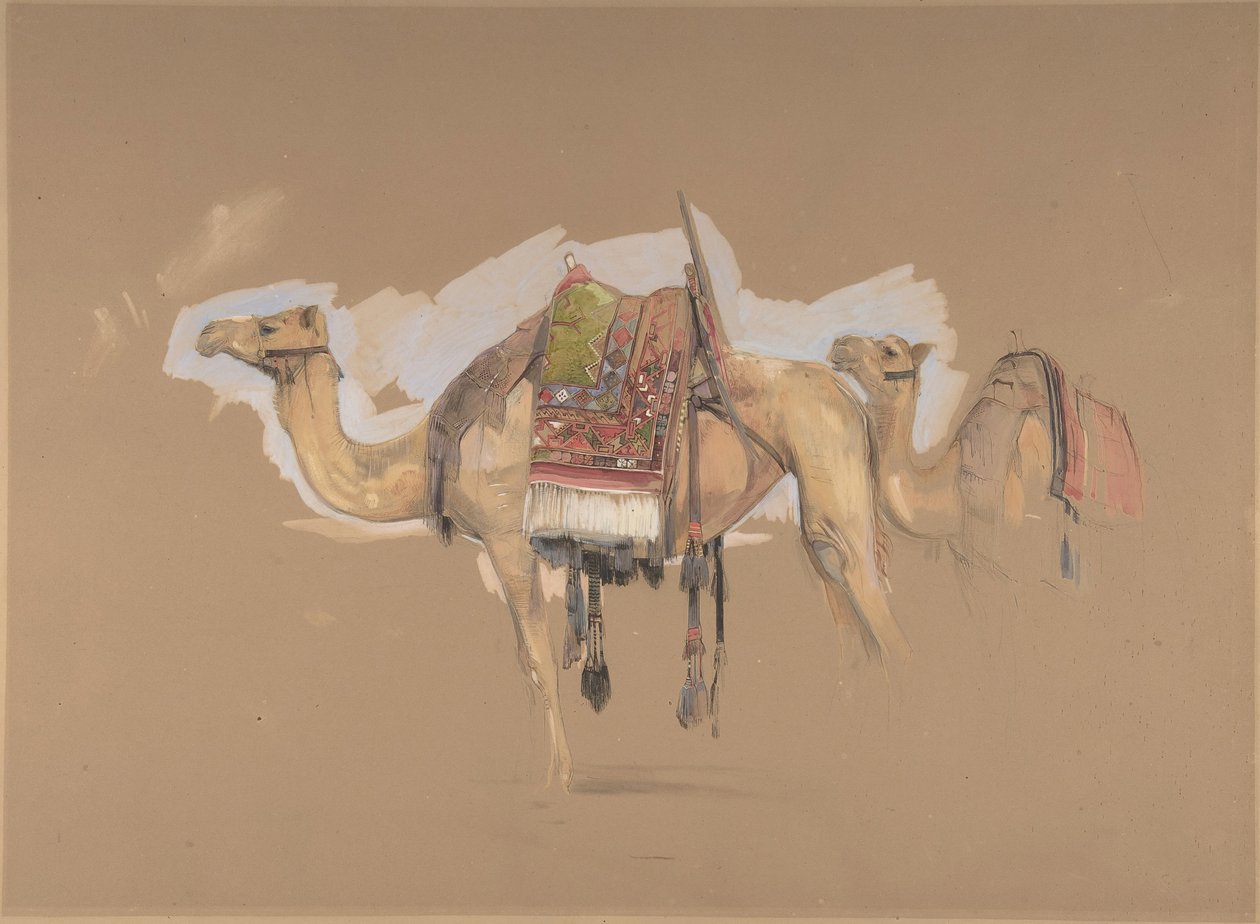 Zwei Kamele, ca. 1843 von John Frederick Lewis
