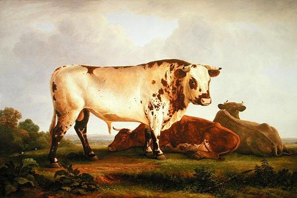 Stier von John Glover