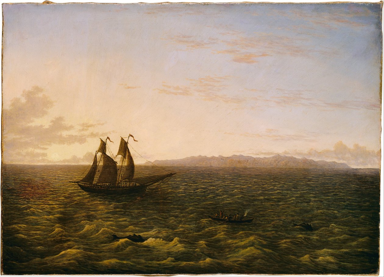 Die Insel Madeira von John Glover