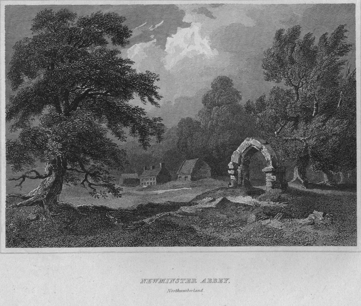 Newminster Abbey, Northumberland von John Greig