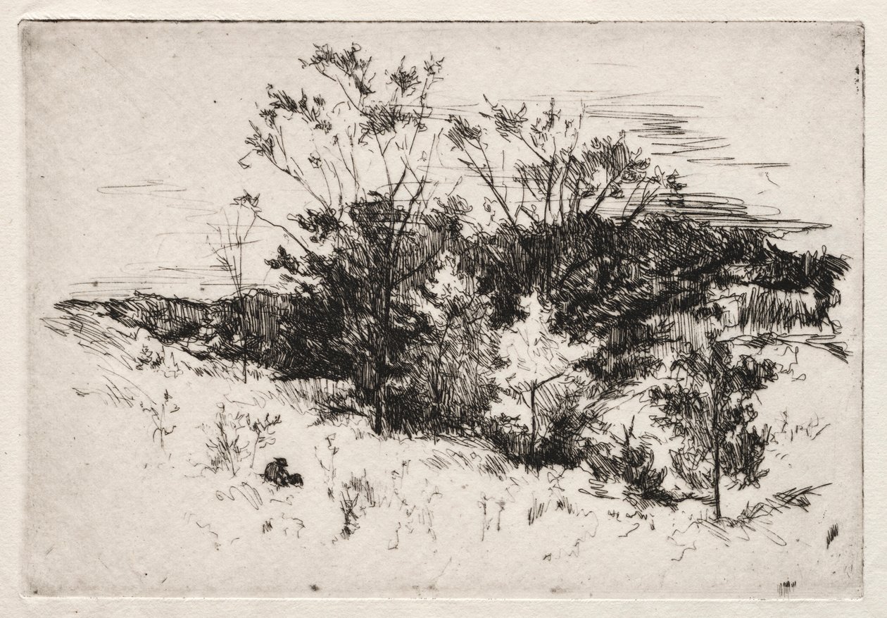 Herbstlandschaft, 1879-80 von John Henry Twachtman