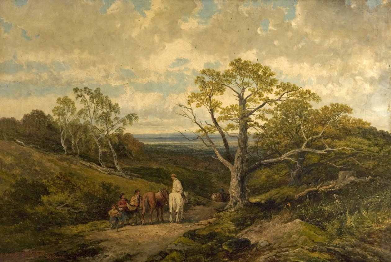 Ansicht im Sherwood Forest, Nottinghamshire von John Holland