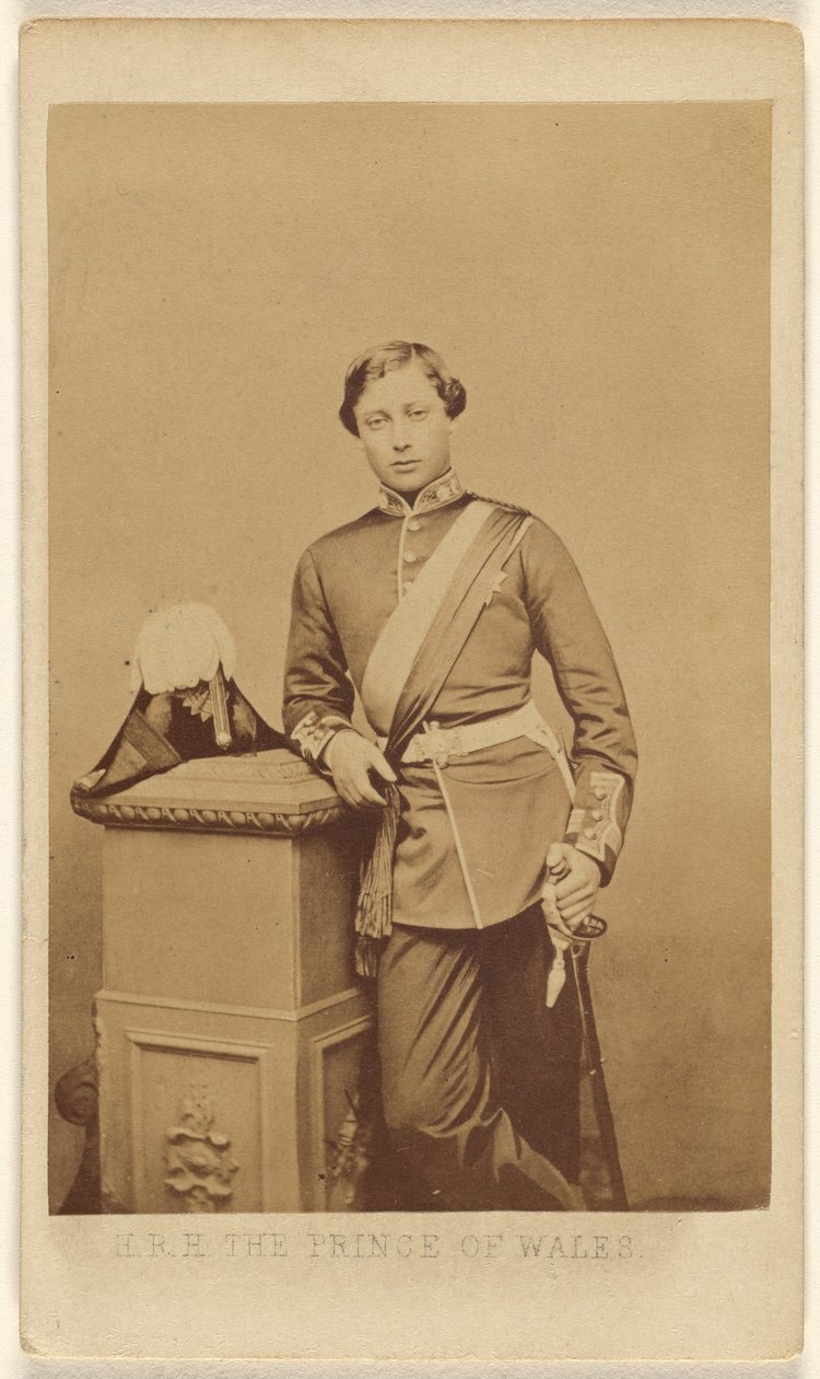 S.K.H. Der Prinz von Wales von John Jabez Edwin Mayall