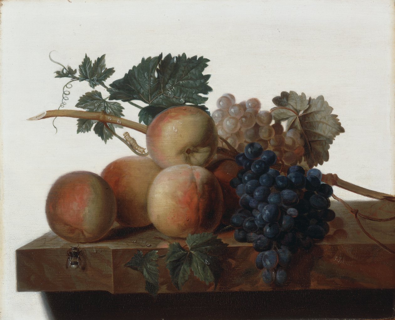 Stillleben von John Johnston