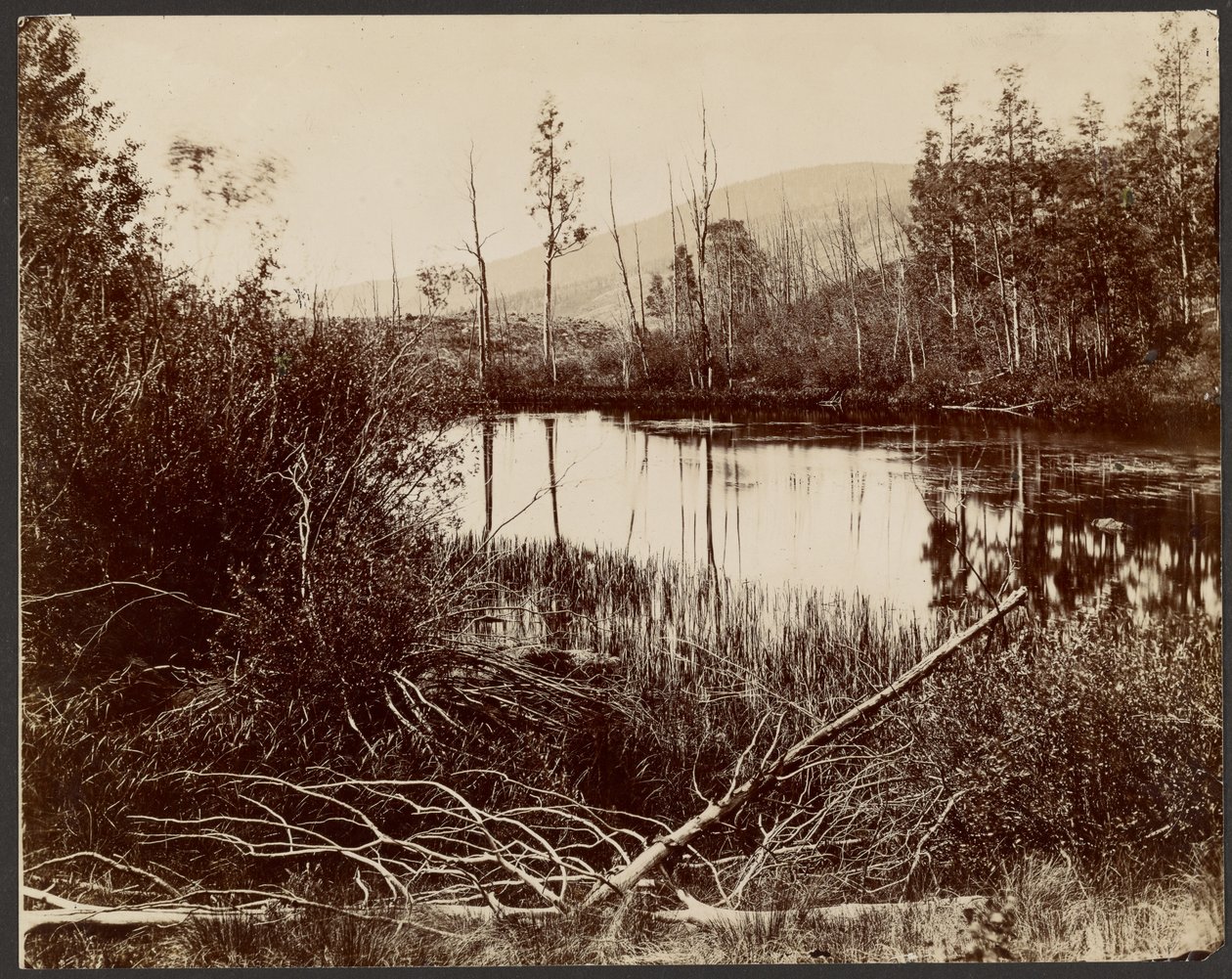 Morainensee, Aquarius-Plateau von John K. Hillers