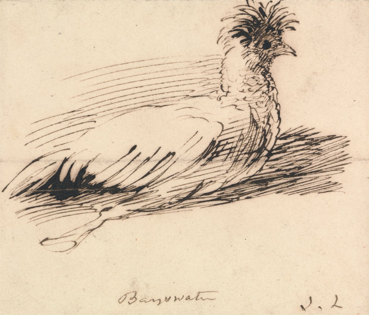Ein Huhn von John Linnell