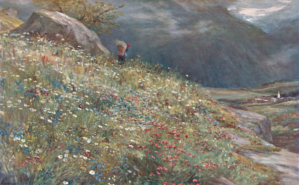 Eine Alpenwiese, spätes 19. - frühes 20. Jahrhundert von John MacWhirter