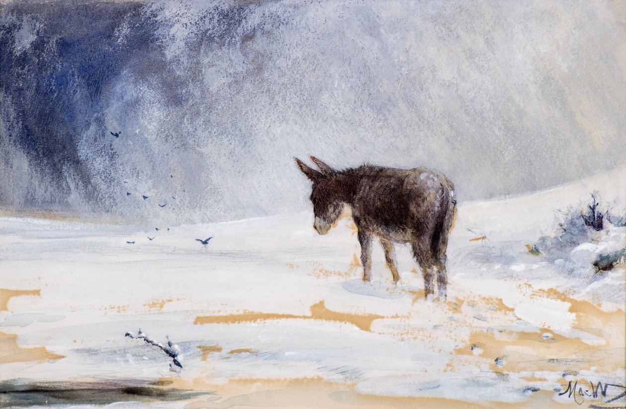 Esel im Schnee von John MacWhirter