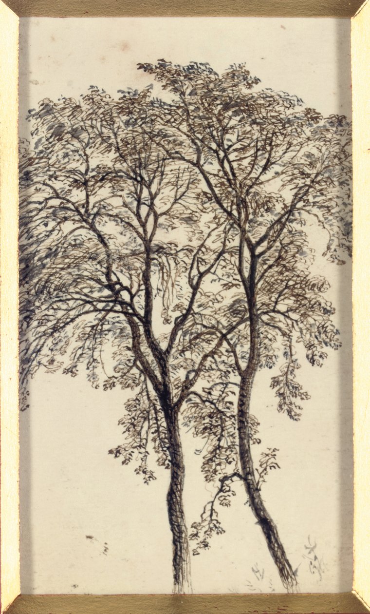 Studie von Bäumen von John MacWhirter