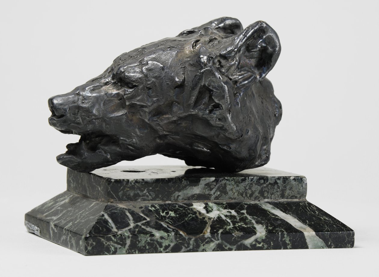 Bärenkopf, ca. 1900 von John Macallan Swan