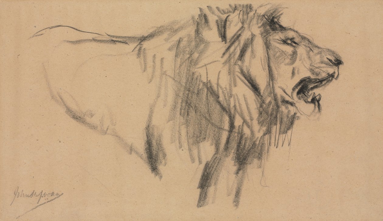 Löwe von John Macallan Swan