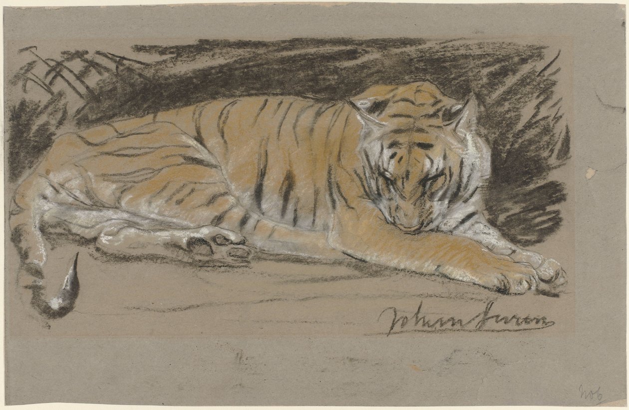 Tigerin von John Macallan Swan