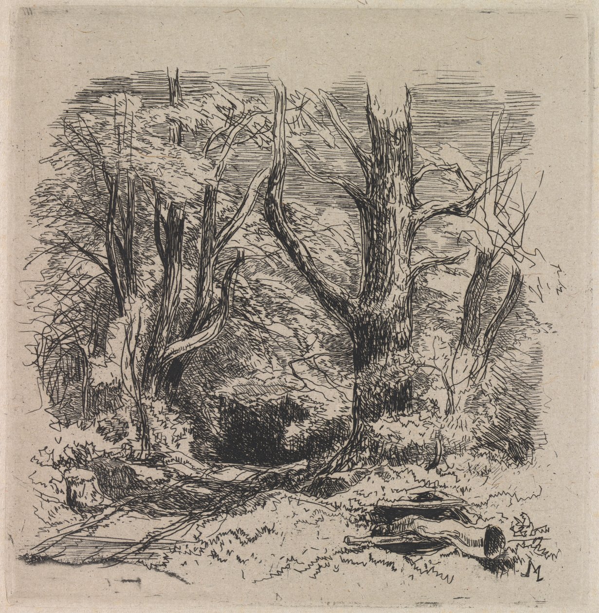 Ein Pfad durch den Wald von John Middleton
