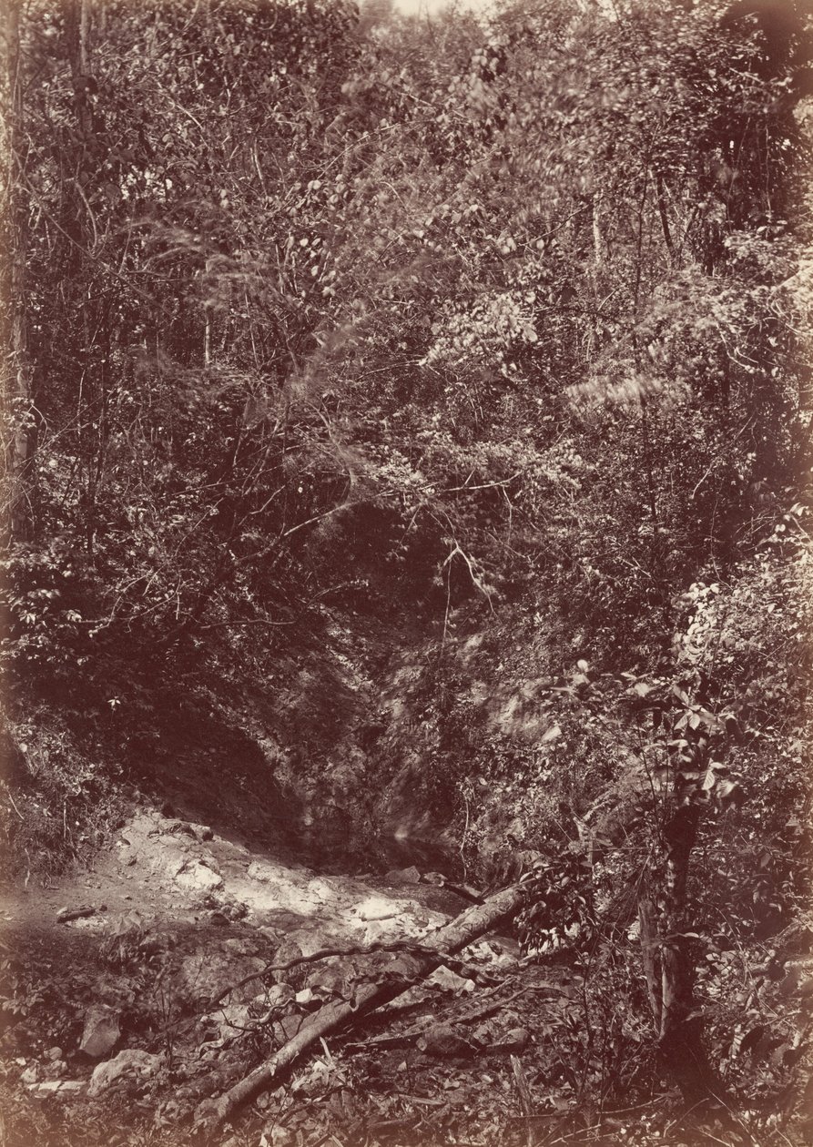 Darien-Expedition von John Moran