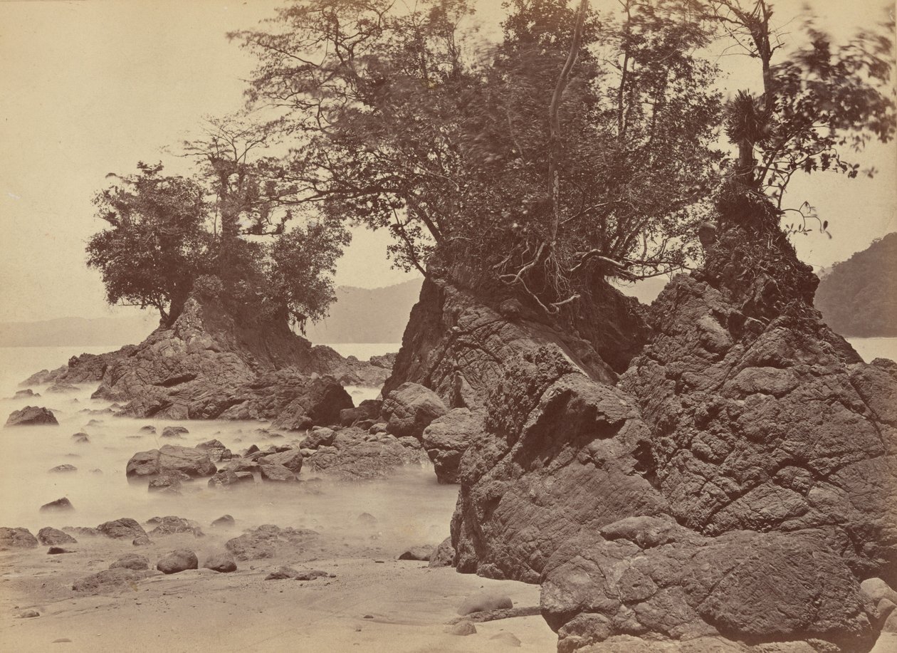 Inseln, Limon Bay, 1871 von John Moran