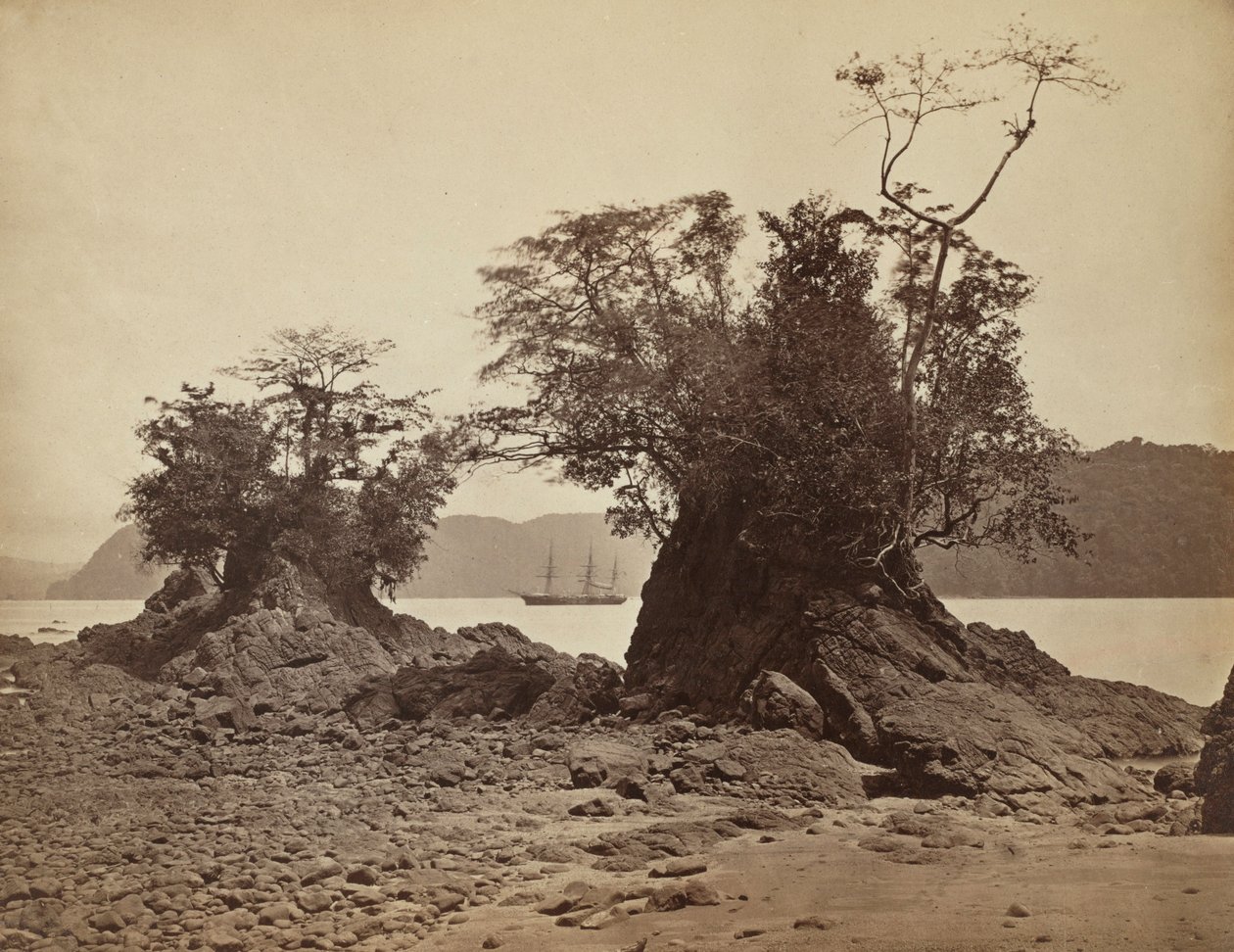 Inseln in der Limón-Bucht, 1871 von John Moran