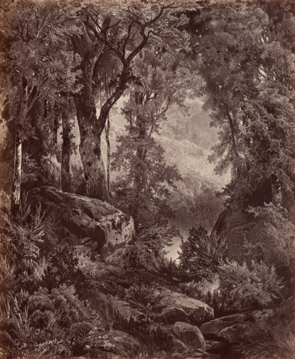 Einsamkeit von John Moran