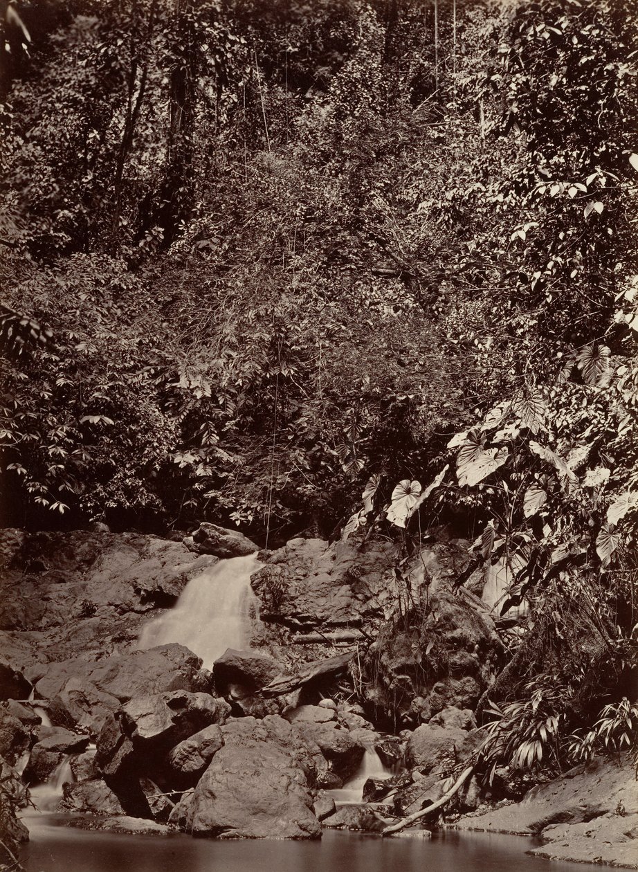 Tropische Landschaft, Wasserfall, Limon River, 1871 von John Moran