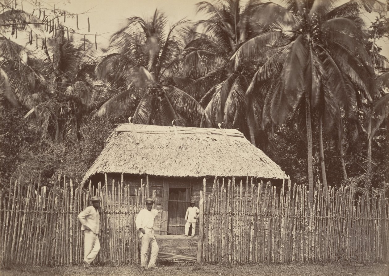 Tropische Landschaft, Einheimische Hütte, Turbo, 1871 von John Moran