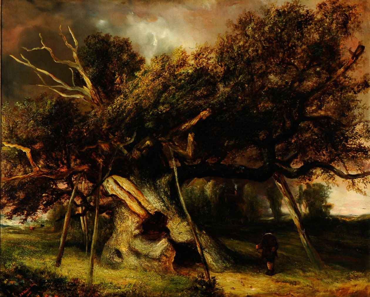 Die Cowthorpe-Eiche von John Nicholas Rhodes
