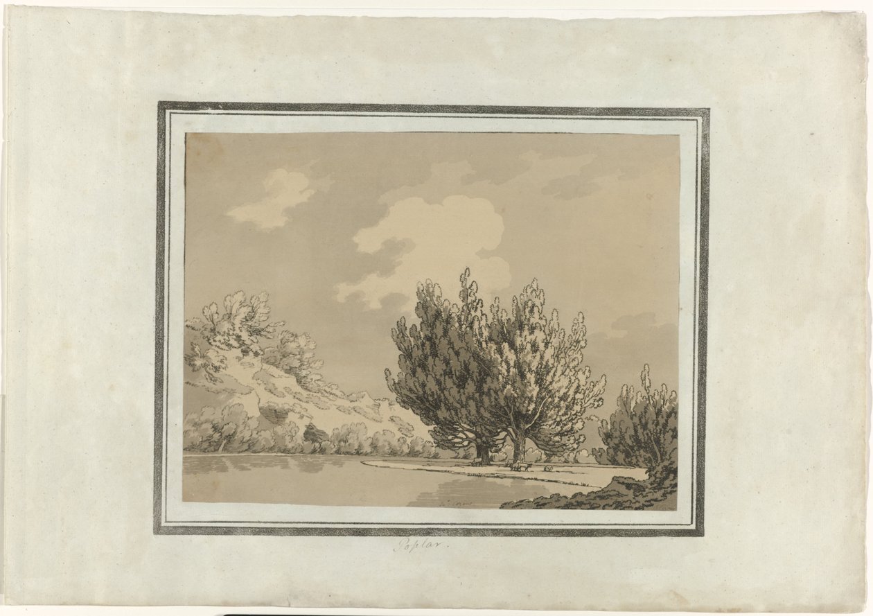 Pappel von John Robert Cozens (signed by artist)