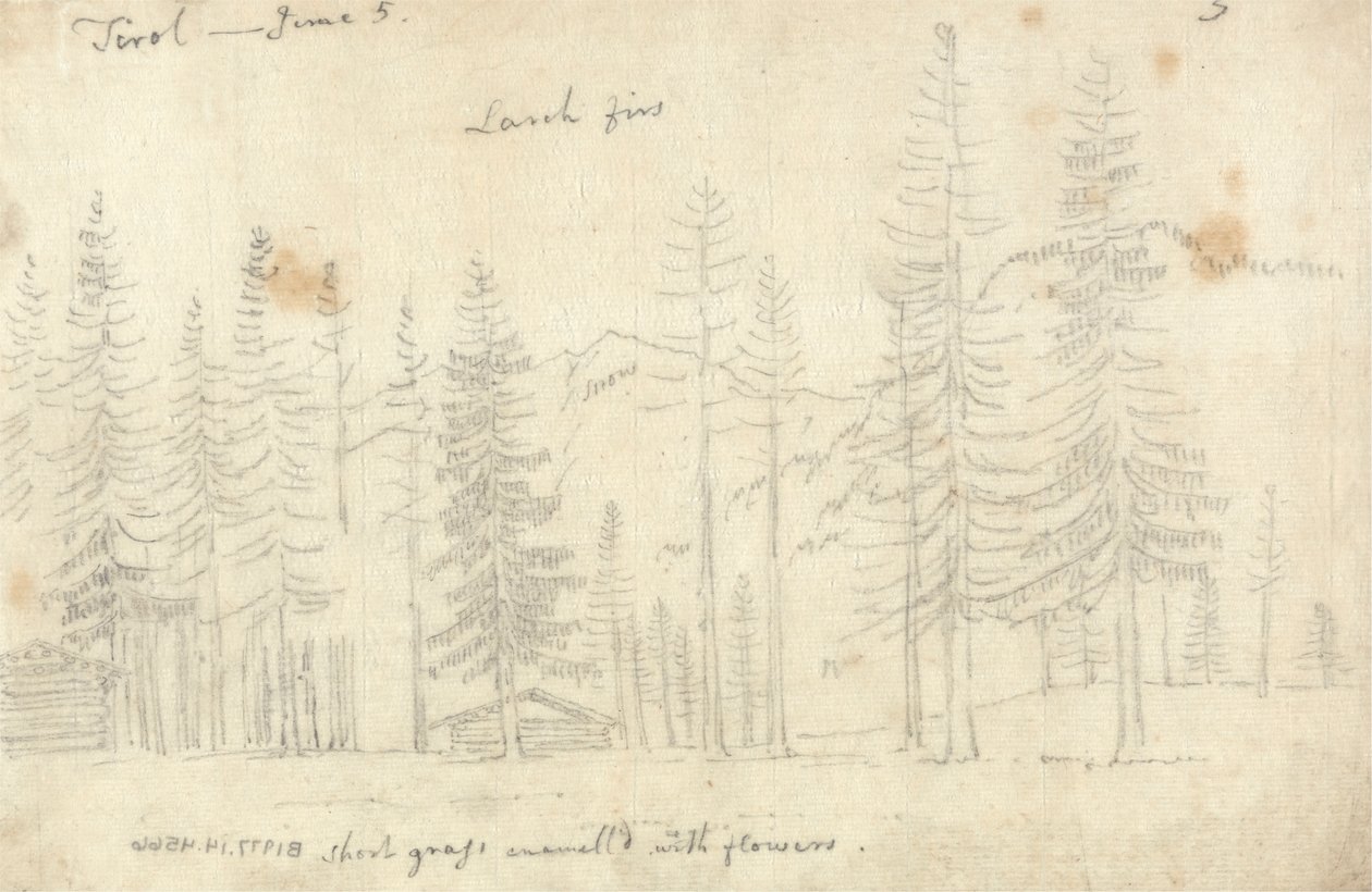 In Tirol von John Robert Cozens