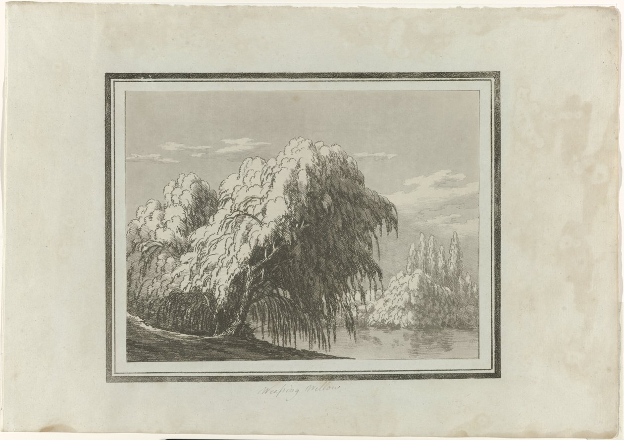 Trauerweide von John Robert Cozens