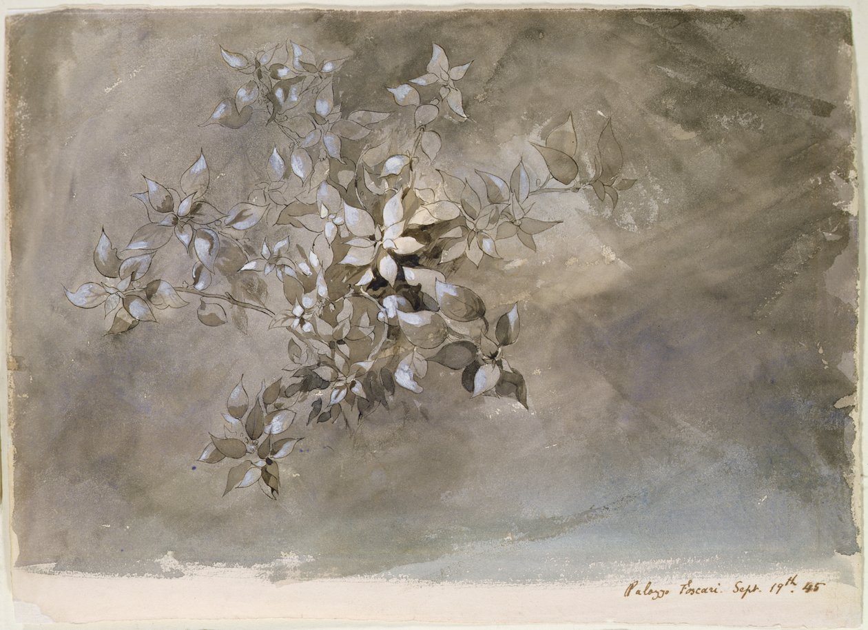 Studie von Laub von John Ruskin
