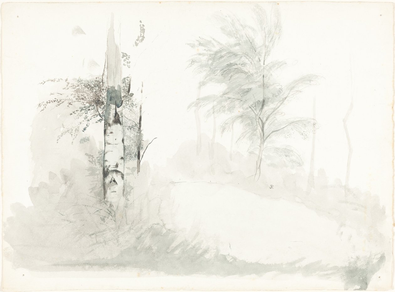 Baumstudie von John Ruskin