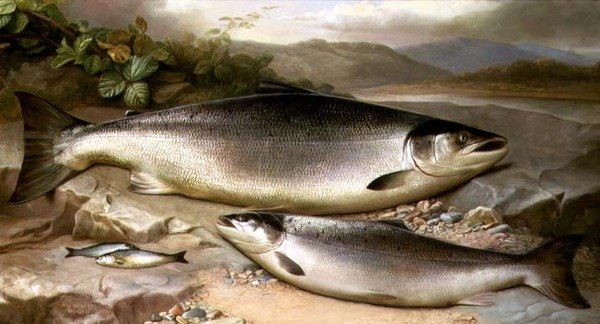 Fisch-Stillleben von John Russell