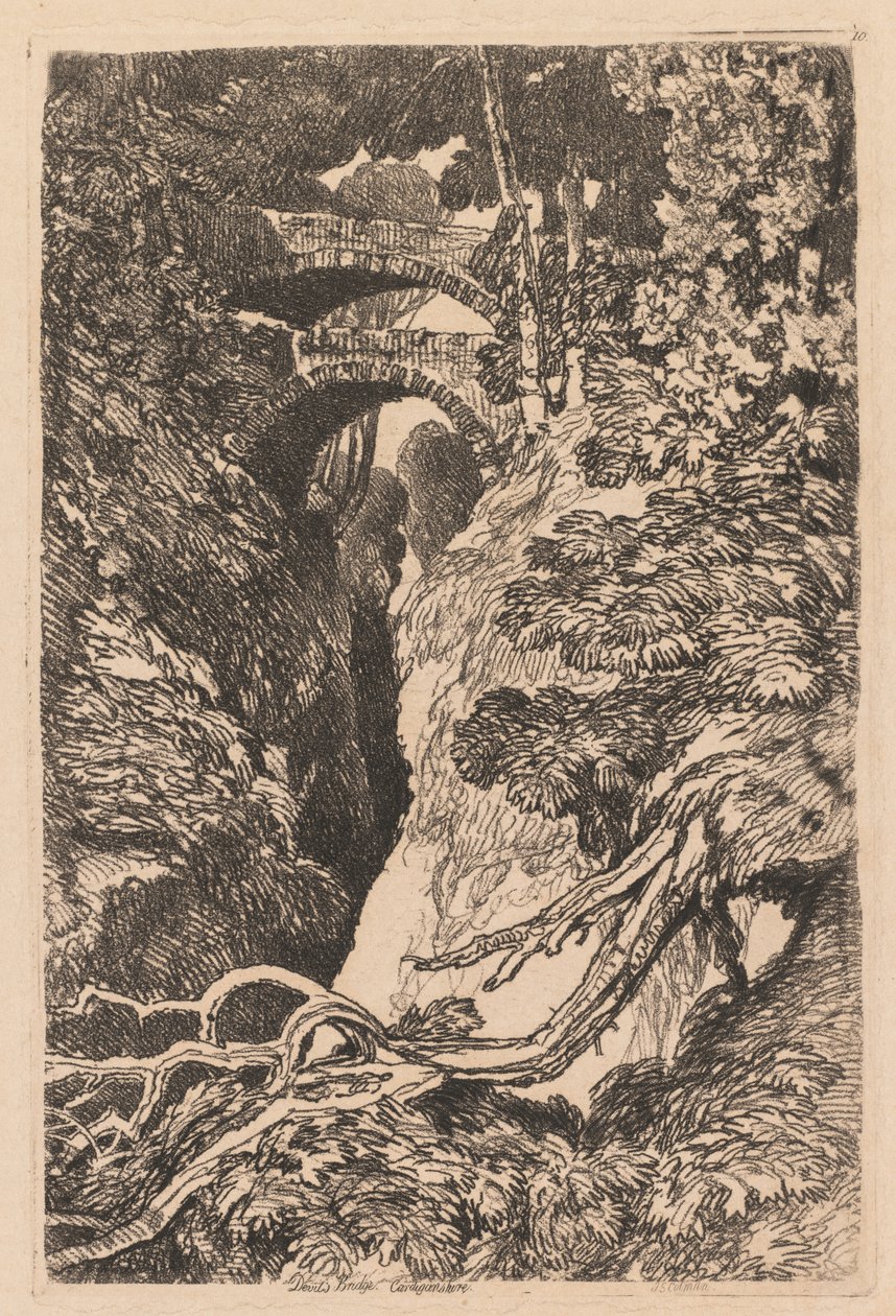 Teufelsbrücke, Cardiganshire von John Sell Cotman