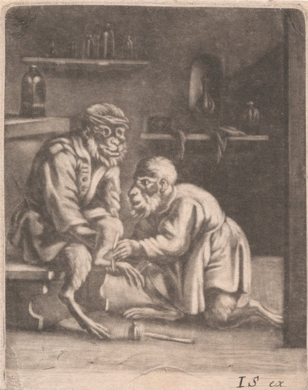 Zwei Affen von John Smith