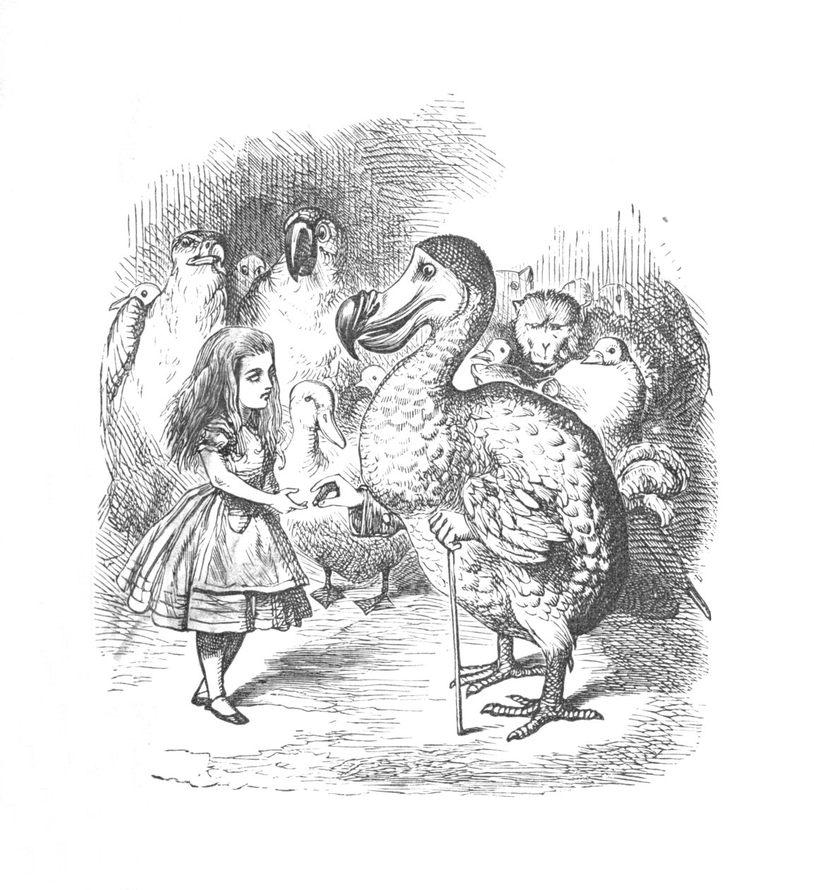Alice und der Dodo, 1889 von John Tenniel