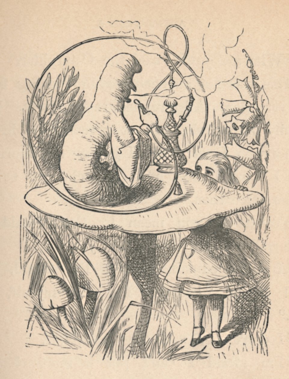 Alice und die Raupe, 1889 von John Tenniel