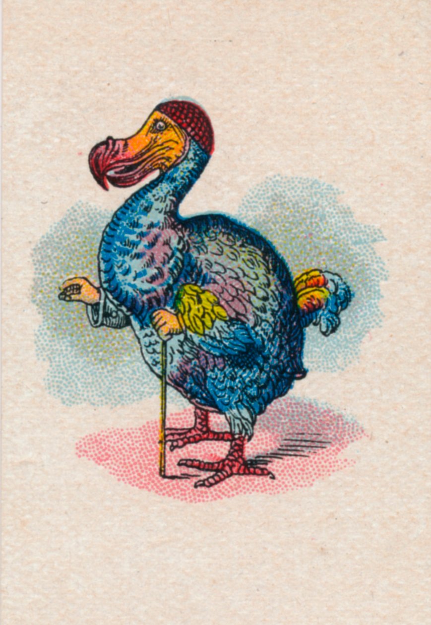 Der Dodo, 1930 von John Tenniel