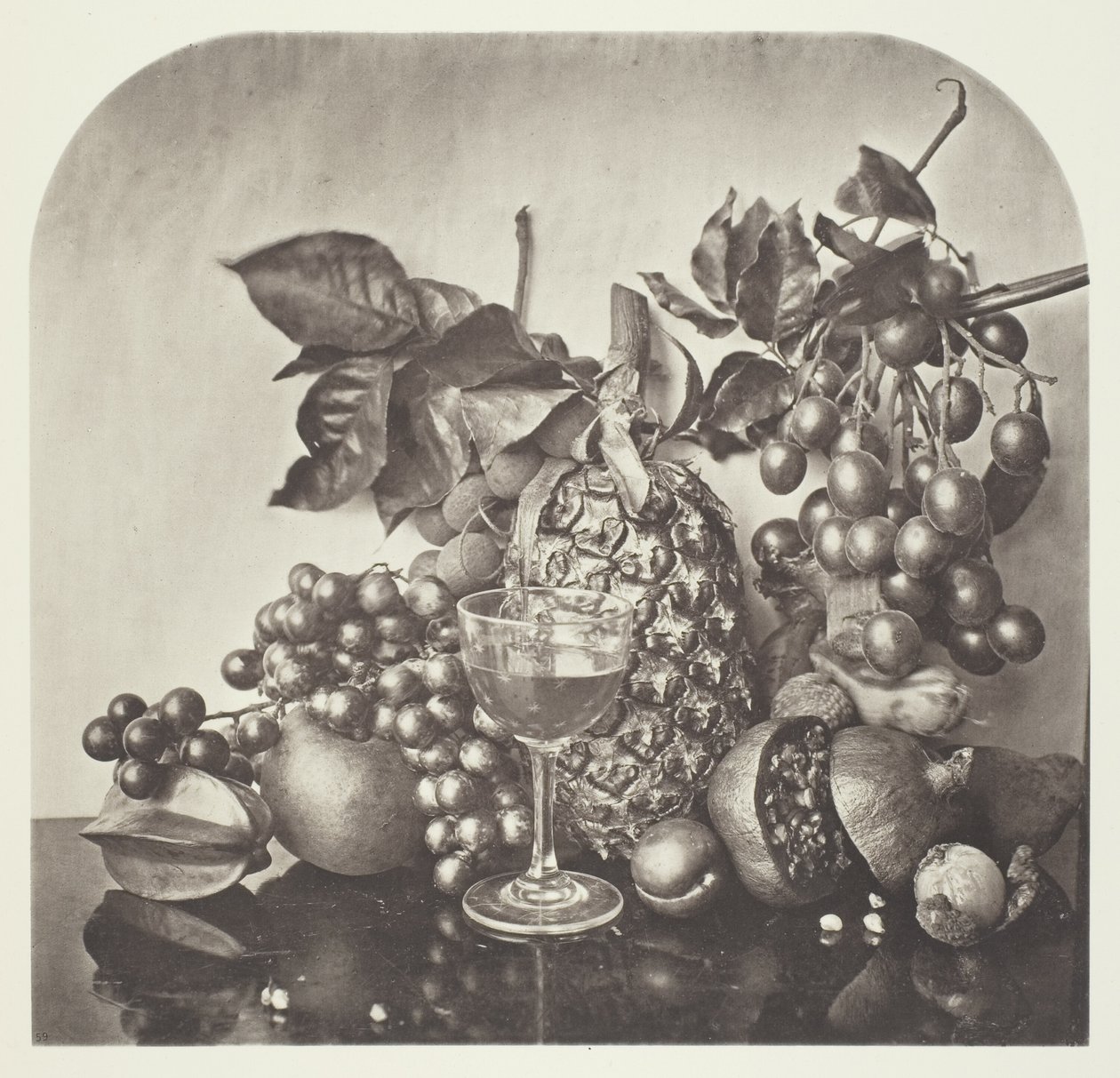 Früchte von John Thomson
