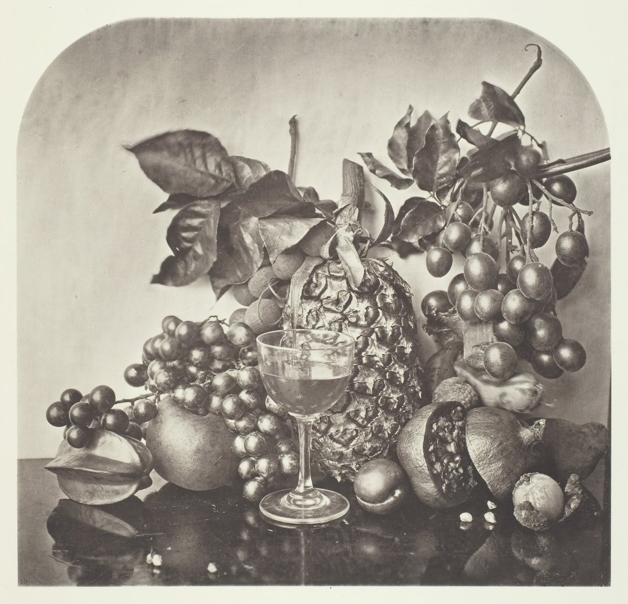 Früchte, ca. 1868 von John Thomson