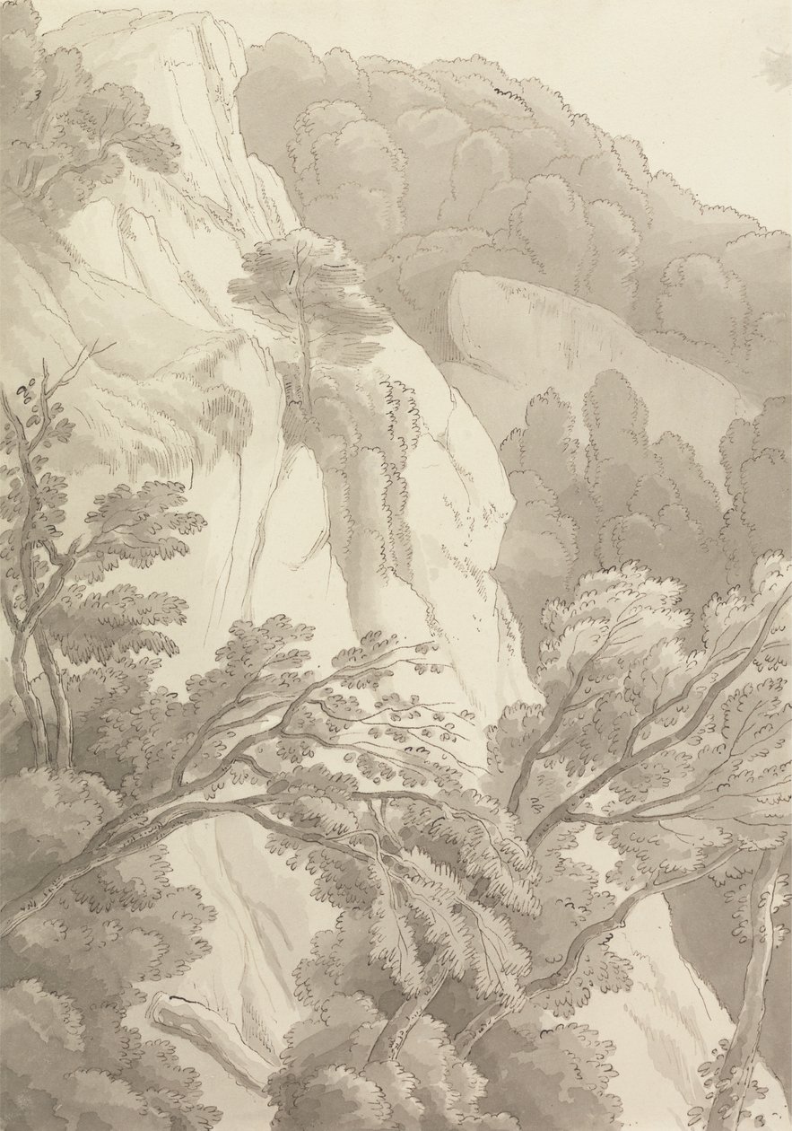 Canonteign von John White Abbott