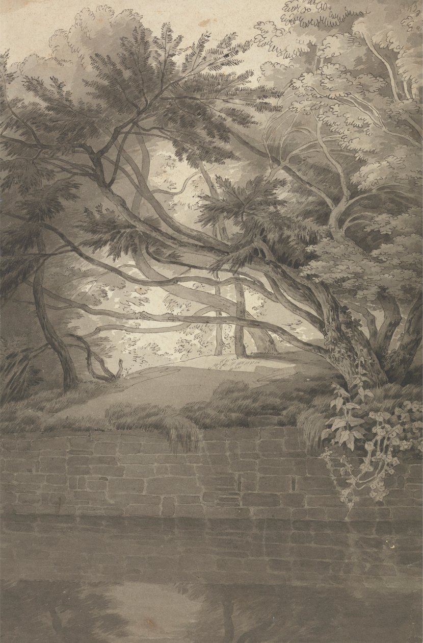 Bäume über einem See von John White Abbott