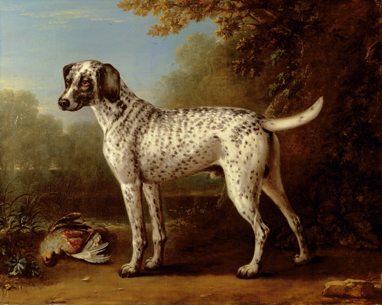 Grauer gefleckter Hund von John Wootton