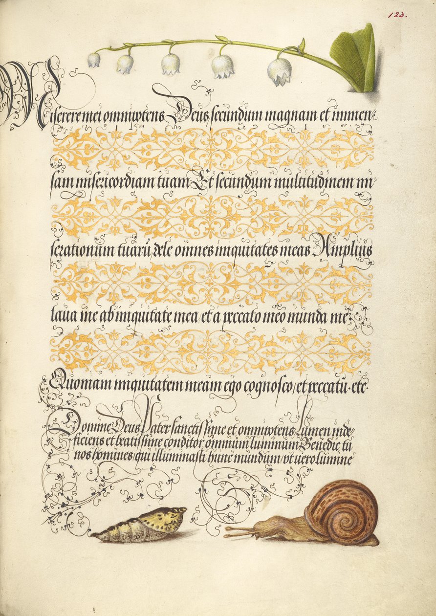 Maiglöckchen, Puppe und Landschnecke von Joris Hoefnagel