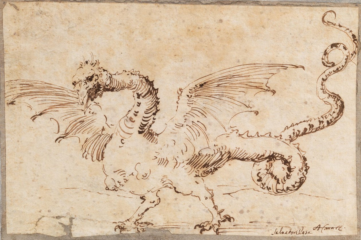 Studie eines Drachen, 1620er Jahre von José Ribera de
