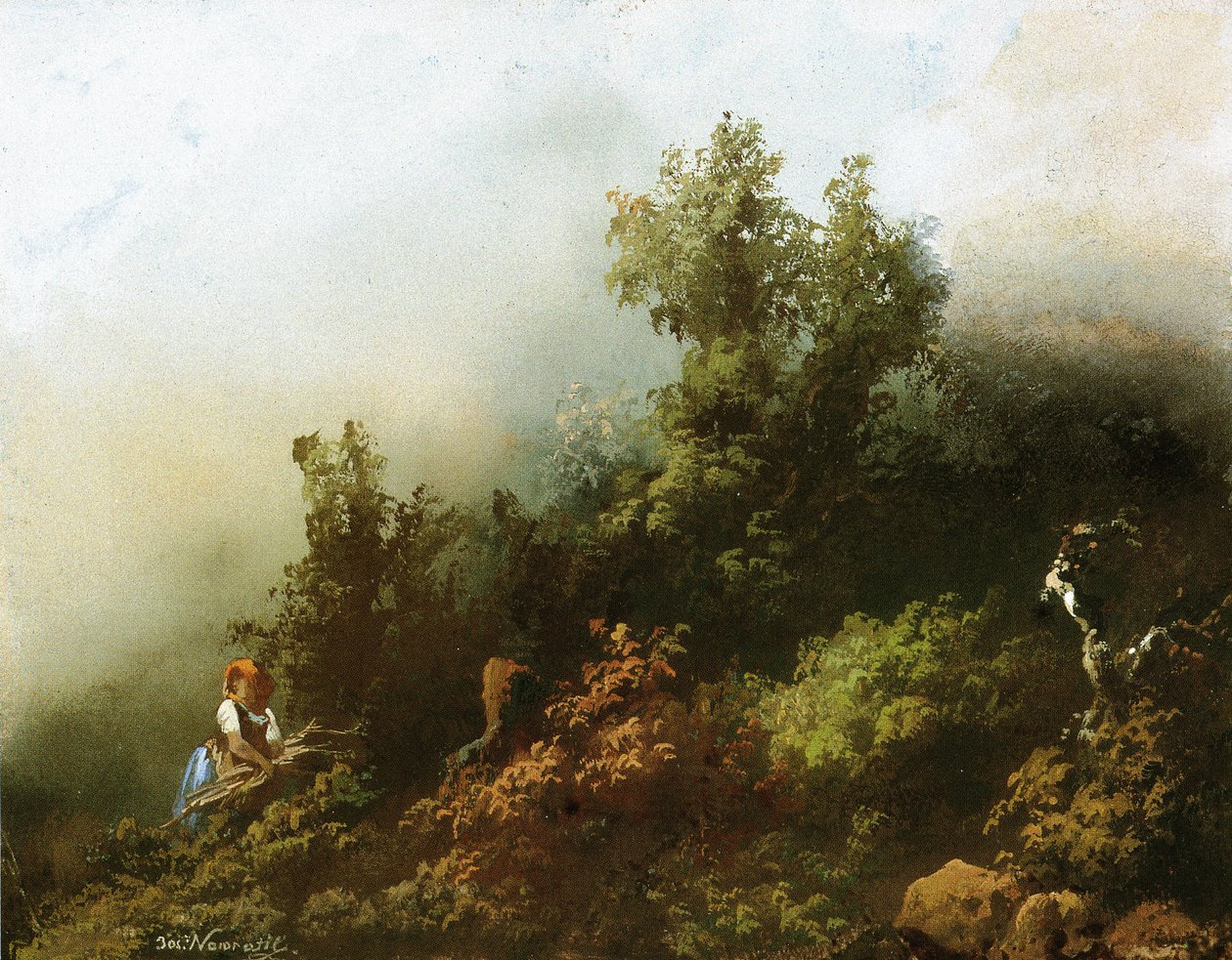 Böhmen von Josef Matj Navrátil