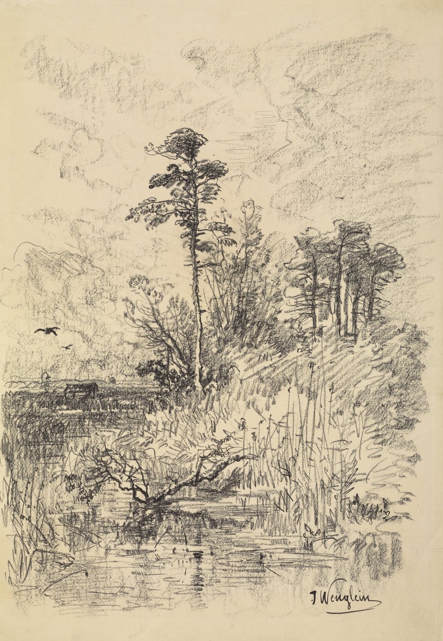Flusslandschaft von Josef Wenglein