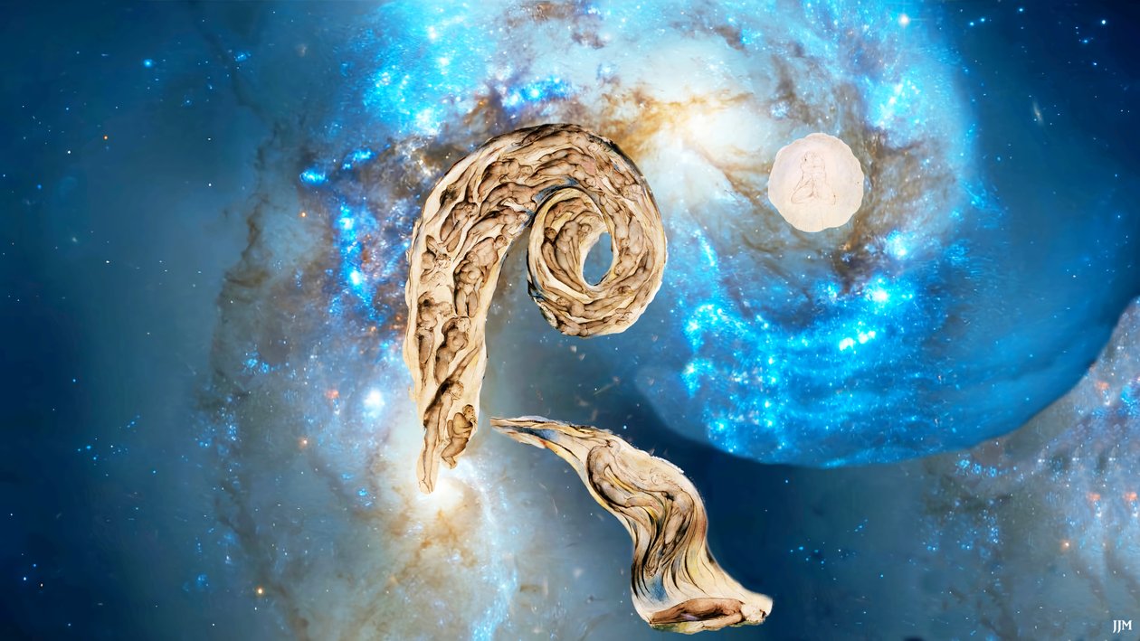 JJM-recreate: Blake-W_Der Wirbelwind der Liebenden+JWST von Josef Johann Michel