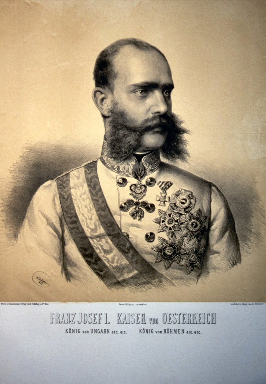 Franz Josef I. 1873 Litho von Josef Kriehuber