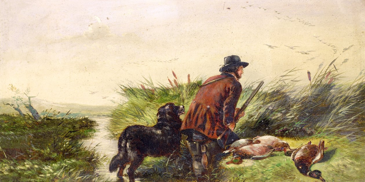 Enten im Flug nach einem Gemälde von Richard Ansdell (1815-85) von Joseph Bensted