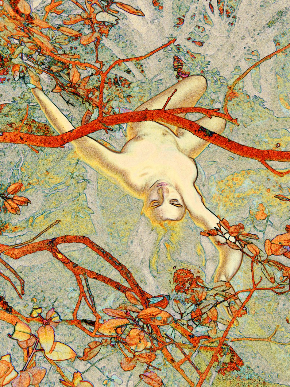 Alice in den Cevennen 2 von Joseph Angilella Auquier